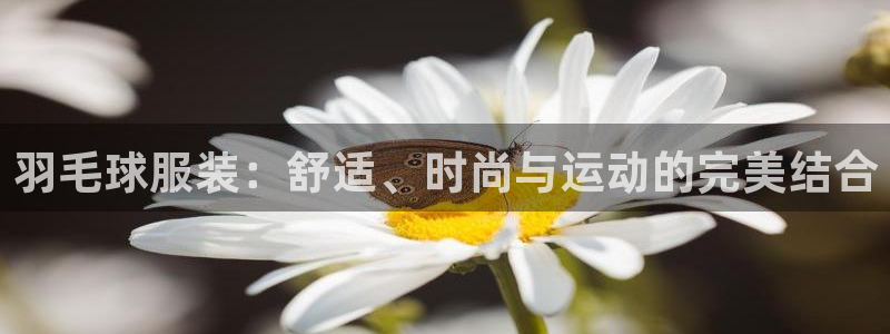 华润娱乐技术前景