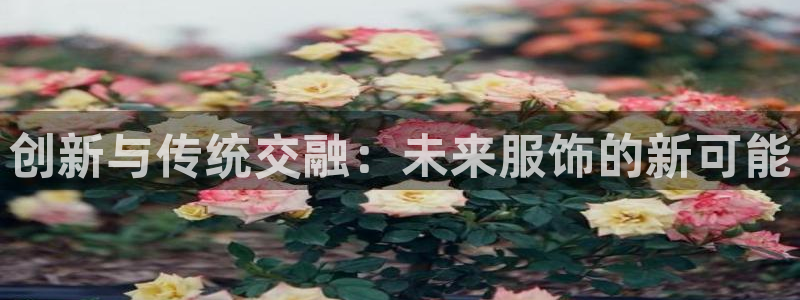 华润国际附近娱乐