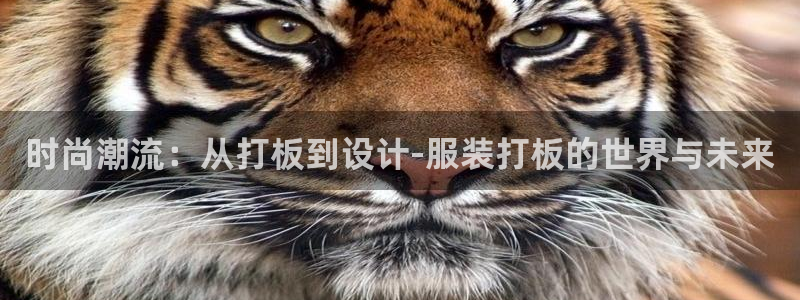 华润娱乐上5指尖