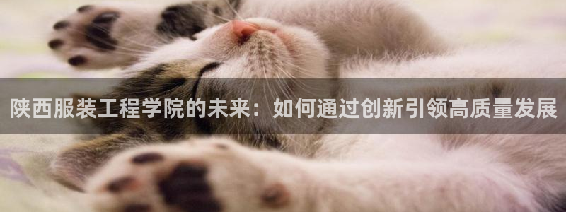 华润娱乐382223