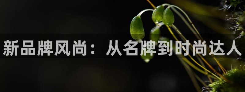 华润娱乐会所