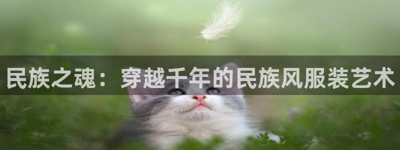 华润娱乐用