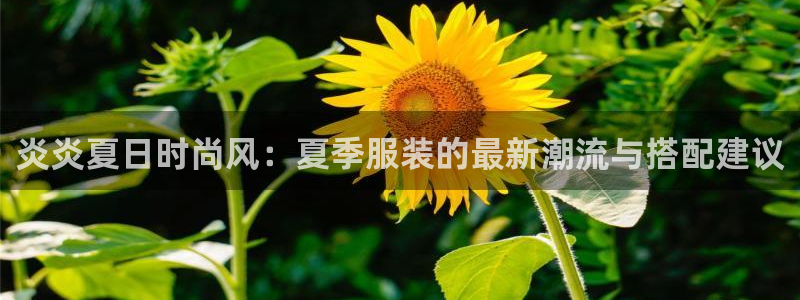 华润娱乐去深圳文案