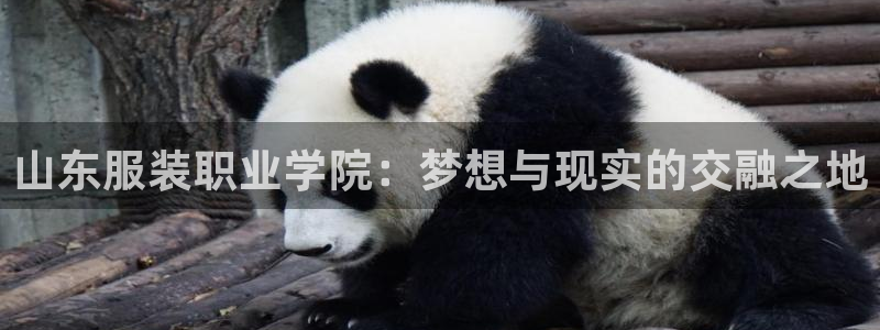 华润娱乐01q675.138