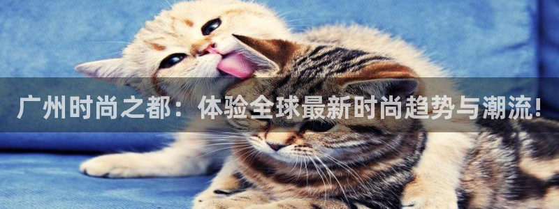 华润娱乐来认46996