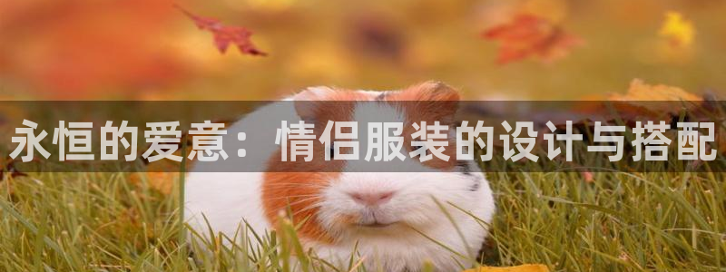 华润娱乐剐922 22
