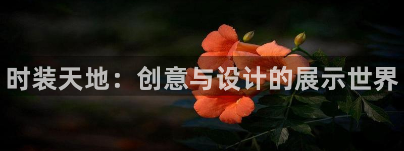 华润国际附近娱乐