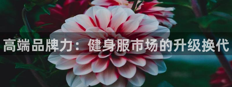 华润娱乐前5指尖