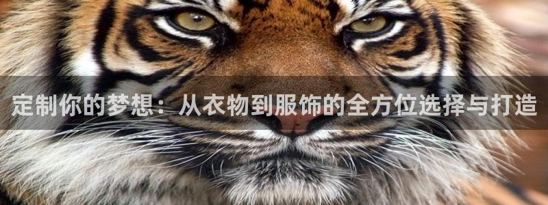 华润城娱乐设施招标