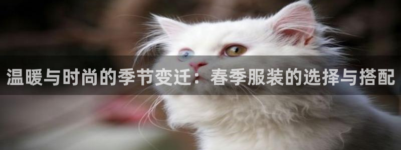 华润娱乐行政招聘