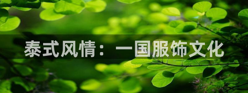 华润娱乐总代