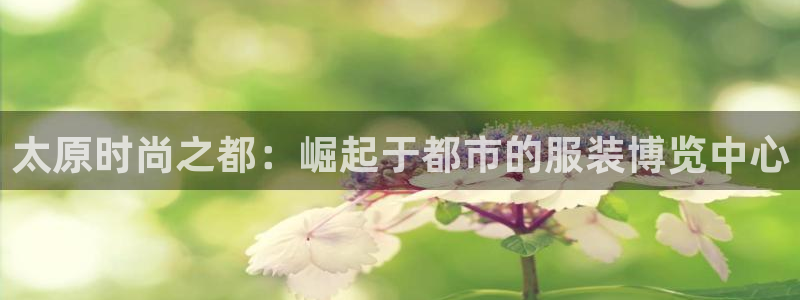 H华润娱乐