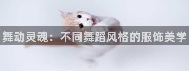 华润娱乐好
