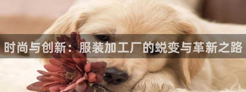 华润娱乐科技有限公司
