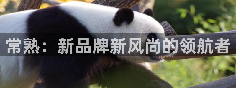 华润娱乐刣q675.138