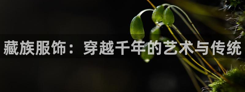 华润娱乐萄92222