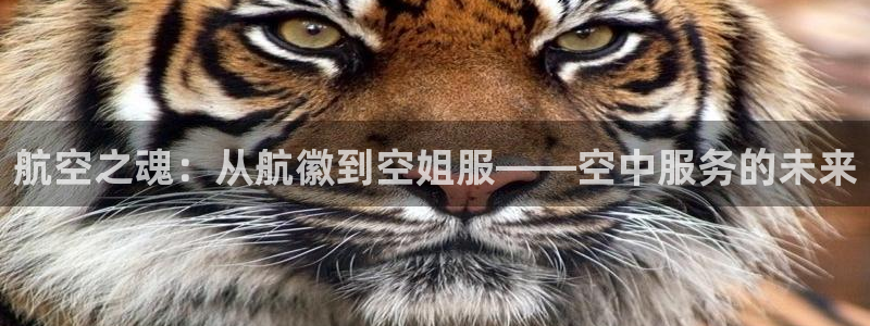 上海华润汇娱乐会所电话