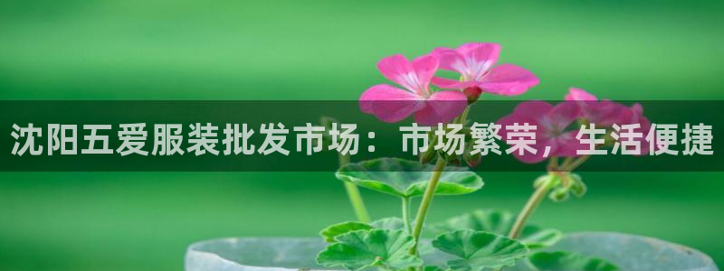 华润娱乐酶 92222